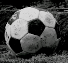 Bild eines Fussballs